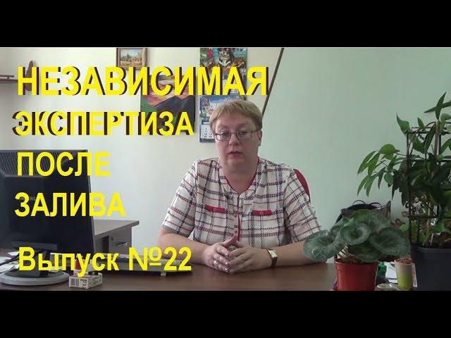 Независимая экспертиза после залива квартиры Выпуск №22 Спроси у эксперта