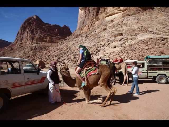 Bedouin Expedition Camp - Hotel in Wadi Rum, Jordan