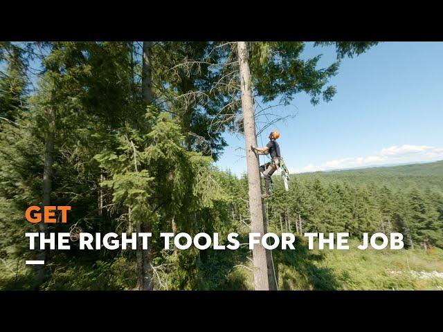 The Best Office View | Get the Right STIHL Tool for the Job