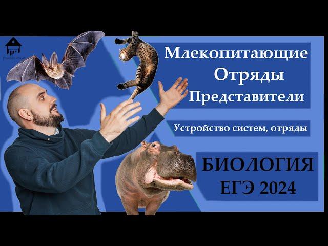 Класс МЛЕКОПИТАЮЩИЕ для ЕГЭ 2024 |ЕГЭ БИОЛОГИЯ|Freedom|