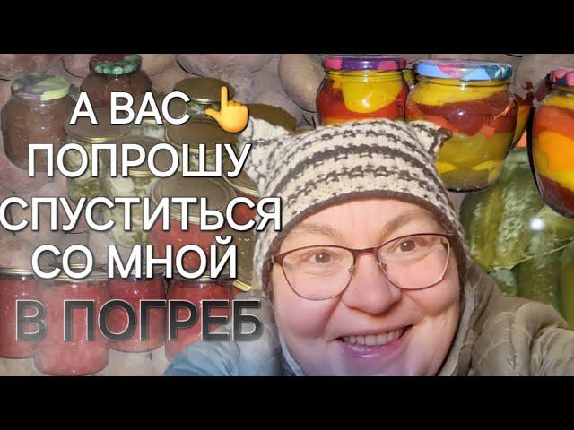 Что запасла на зиму/Это много или мало/Помидоры портятся/ОДНА В ДЕРЕВНЕ‍️