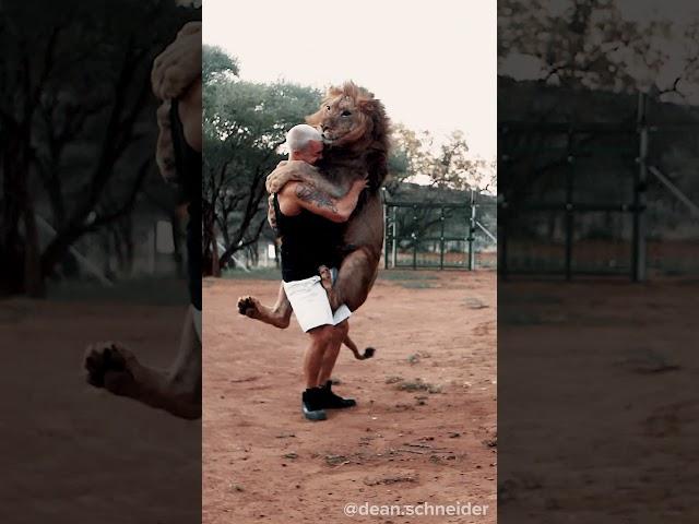 Lion Jump