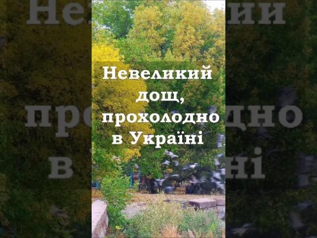 Невеликий дощ, прохолодно в Україні #weather #shorts