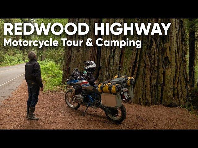 I Camped in a Redwood Forest | Motorcycle Tour and Camping