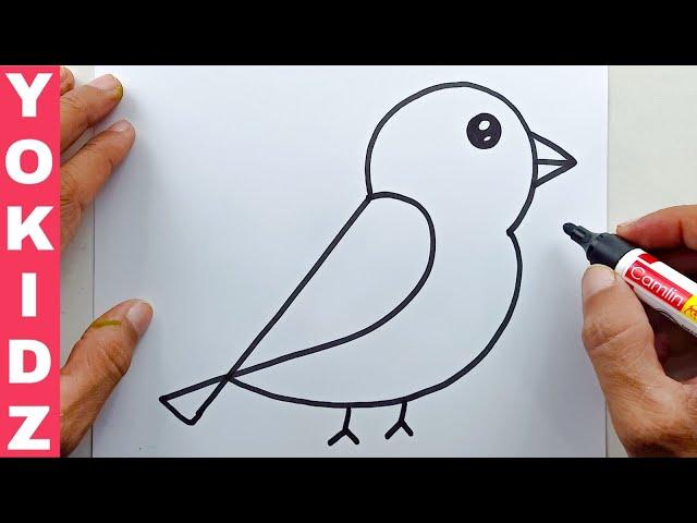 How to Draw A Bird Easy