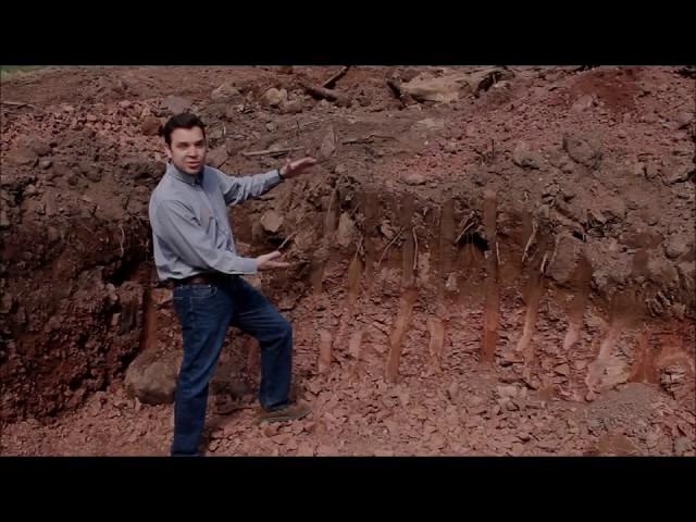 BUILDING A CUSTOM HOME: EP. 3: Excavation & Footers