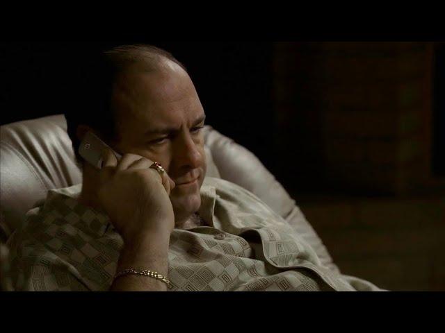 The Sopranos - Tony Soprano doesn't know what to do with his cousin Animal Blundetto