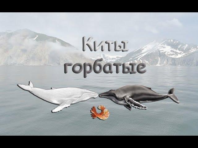 Русская Рыбалка 3.99 (Russian Fishing) Добиваем удочки на Камчатке