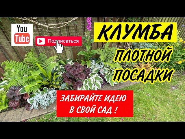 МИКСБОРДЕР. Схема посадки клумбы. Клумба неприрывного цветения.