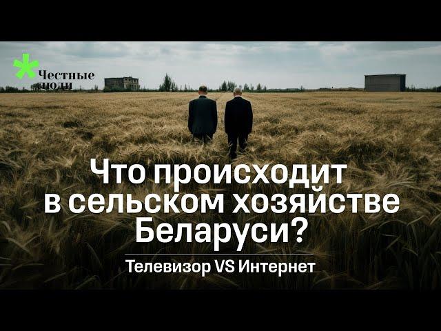 Процветание или кризис: два взгляда на сельское хозяйство в Беларуси | Телевизор против ютуба