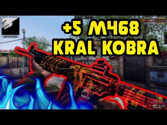 +5 M468 KRAL KOBRA  -  ZULA