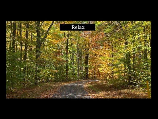 Relax !! Relax for 20 Minutes !! Calm Music !! Relaxing Junction