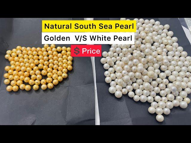 South Sea Pearl PRICE | मोती की कीमत | Golden V/S White SOUTH SEA Moti Price with complete Details