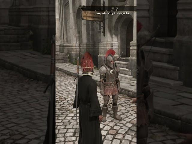 The Elder Scrolls IV: Oblivion Remastered random clips - part 6