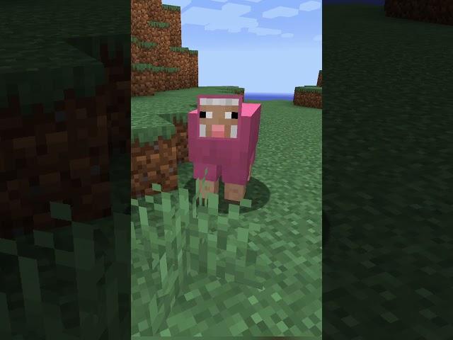 this minecraft sheep is very rare