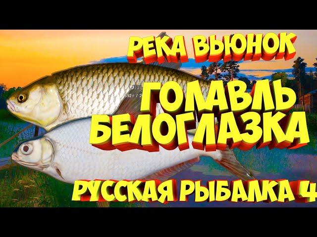 русская рыбалка 4 -  Голавль Белоглазка река Вьюнок - рр4 фарм Алексей Майоров russian fishing 4