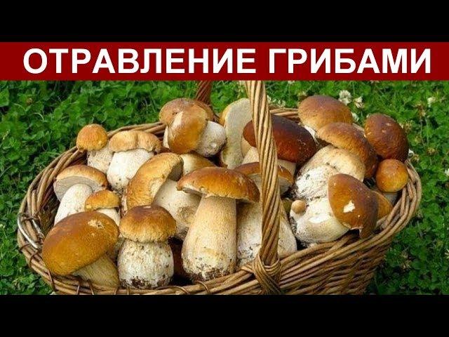 ОТРАВЛЕНИЕ ГРИБАМИ СИМПТОМЫ. ПОМОЩЬ ПРИ ОТРАВЛЕНИИ ГРИБАМИ