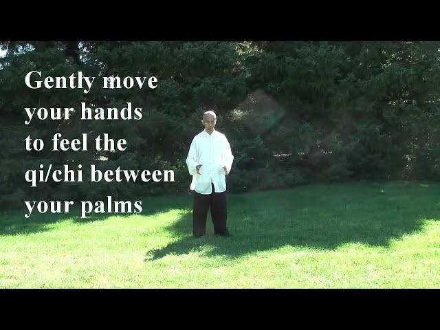 Tai Chi Qigong Shibashi Set 1 - by Master Wing Cheung