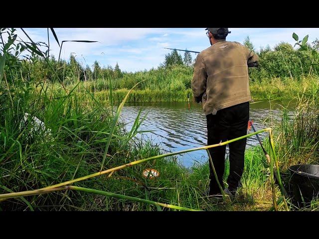 ЛОВЛЯ КАРАСЯ НА МАЛЫХ РЕКАХ . НЕОДНОЗНАЧНАЯ РЫБАЛКА .