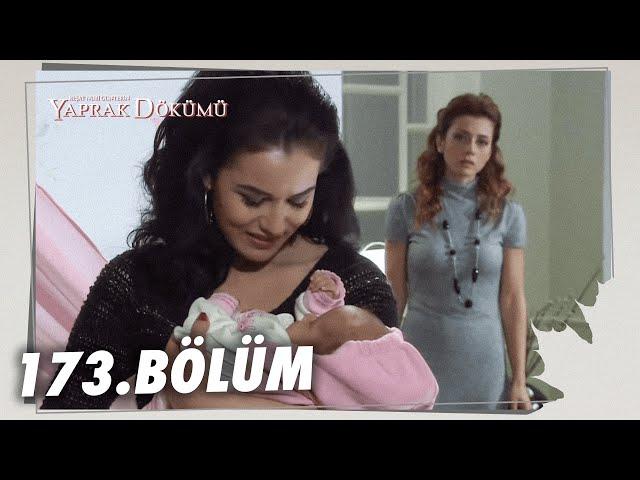 Yaprak Dökümü 173. Bölüm - Full Bölüm