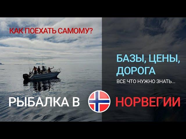 Рыбалка в Норвегии. Все что нужно знать. Цены, рыболовные базы, дорога. Самостоятельная поездка.