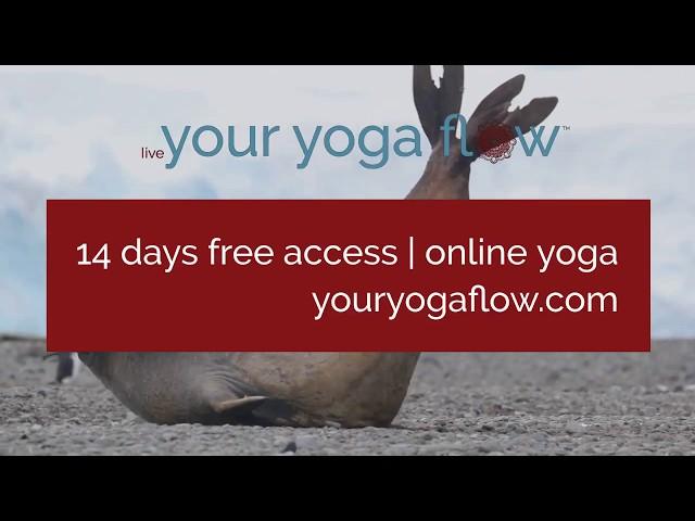 Your Yoga Flow - Promo Video