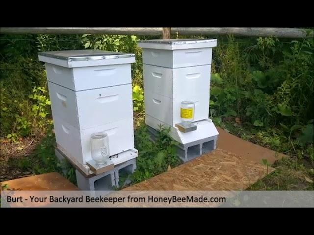 HoneyBeeMade - Backyard Beekeeper