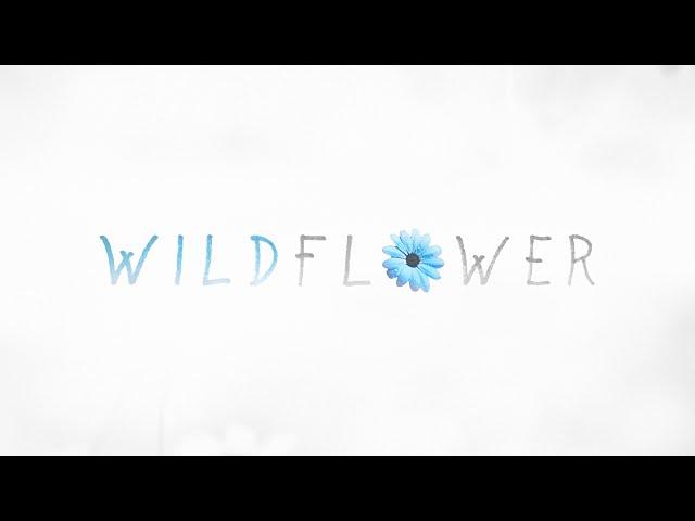 Matthew Parker - Wildflower (Audio)