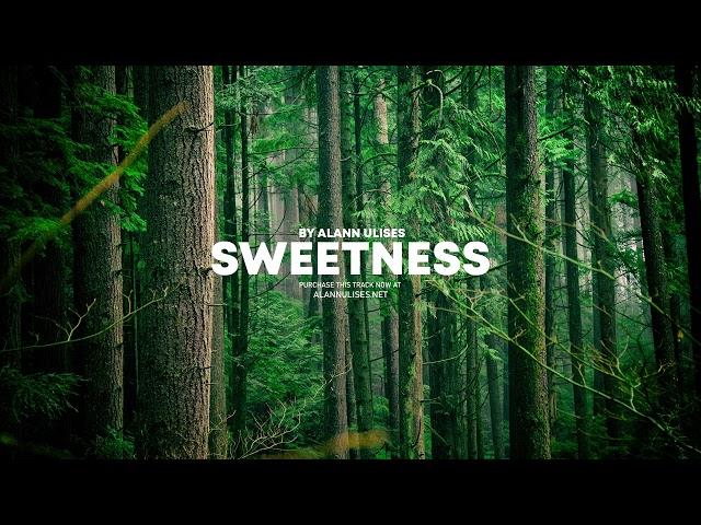 SWEETNESS Riddim | Reggae Beat Instrumental | Reggae Roots romantic Love | 2023 | Alann Ulises