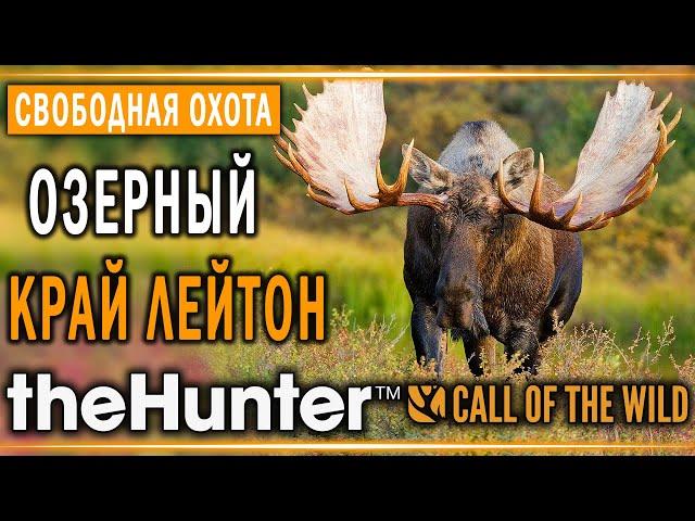 theHunter Call of the Wild #2  - Озерный Край Лейтон (часть 1) + 2 БРИЛЛИАНТА - Свободная Охота