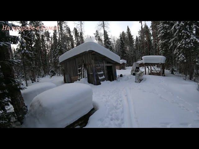 Три дня на второй избе. 2 серия. /Быт в избе, Тулан кого-то лает/