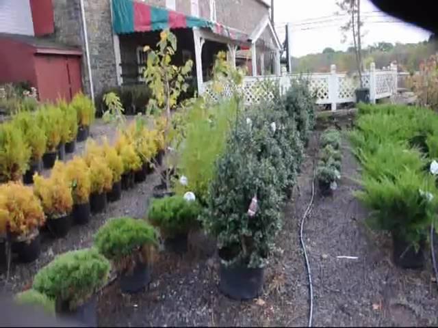 Hardscaping and landscaping materials we stock in Bucks County