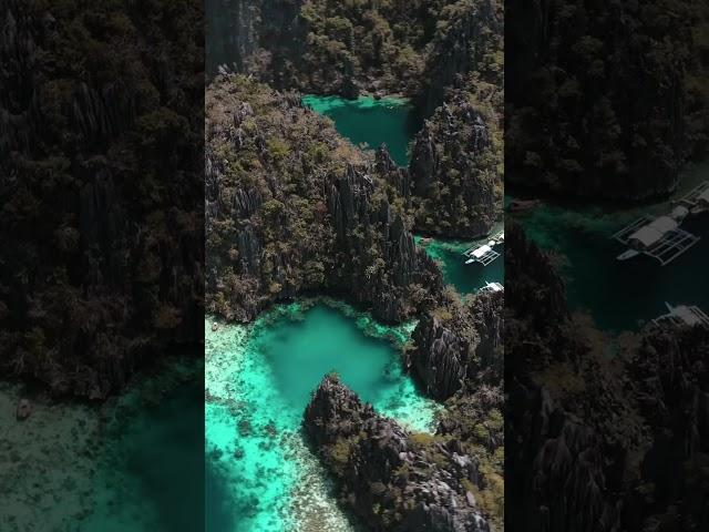 Twin Lagoon, Coron, Palawan, Philippines  #philippines #vlog #travel #travelvlog #shorts