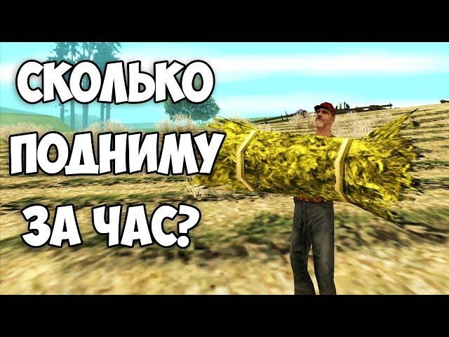 ЭКСПЕРИМЕНТ! СКОЛЬКО МОЖНО ЗАРАБОТАТЬ НА ФЕРМЕ ЗА ЧАС? - Arizona Rp