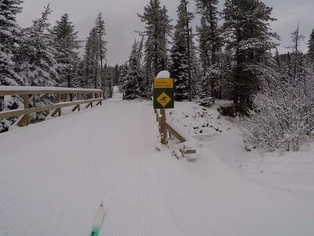 Moose Loop X-Country Skiing