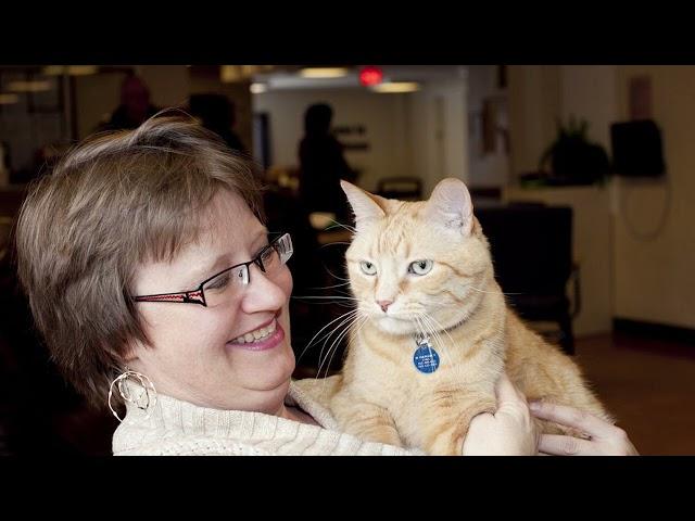 Martha Bird adopts cat through Animal Humane Society's Loved for Life program