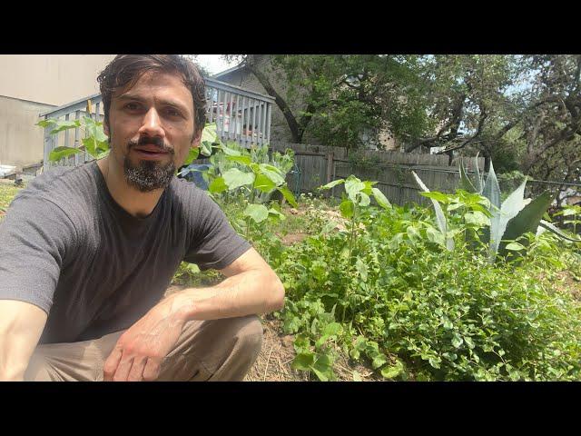 Spring Tour: Suburban Permaculture with Matt Powers