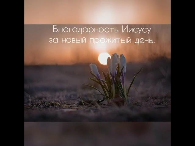 Благодарность Иисусу за новый прожитый день. Thank You Jesus for a new day.