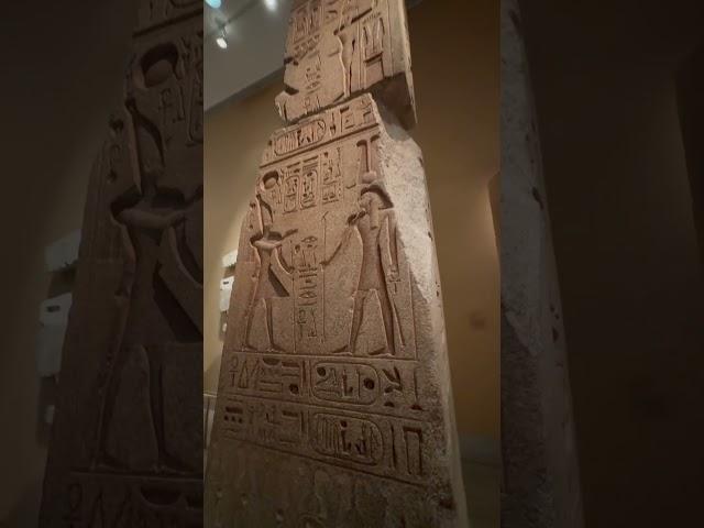 EGYPTIAN EXHIBIT,NYC#shortvideo #shortsvideo #shorts #short #egypt #exhibition #travel #nyc #usa