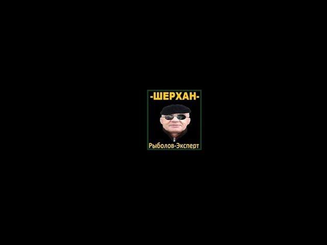 Русская Рыбалка 3.0(оффлайн) Турнир Пивной.