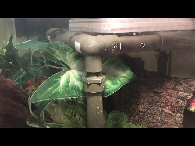 The Essentials Of Successful Turtle Keeping Pt 5-Basking