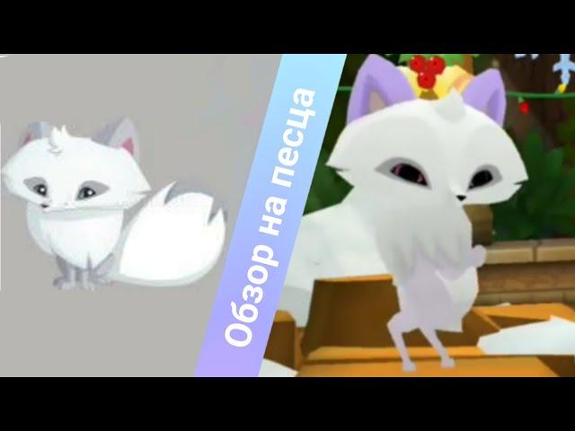 Обзор на песца из игры animal jam play wild