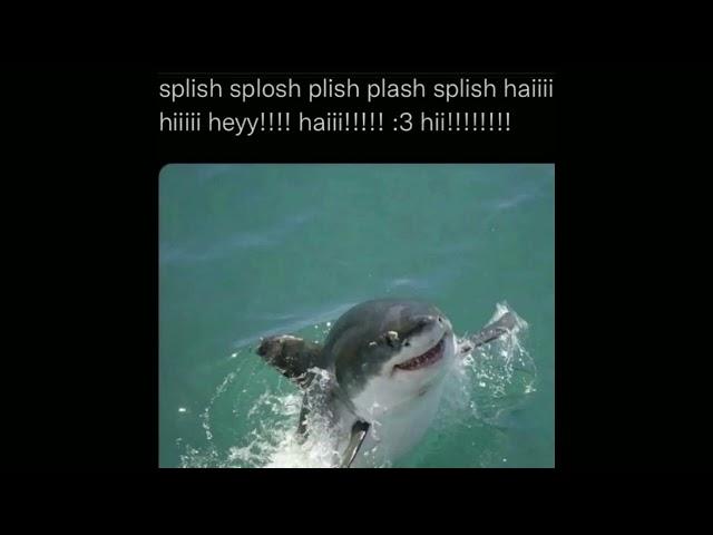 splish splosh hiii haii hey :3