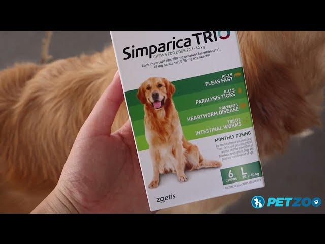 How to feed your Dog the Simparica TRIO Flea and Tick Treatment