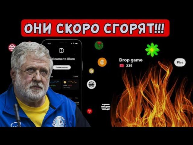 СРОЧНО Трать Тикеты В BLUM | Листинг Hamster Kombat и Catizen