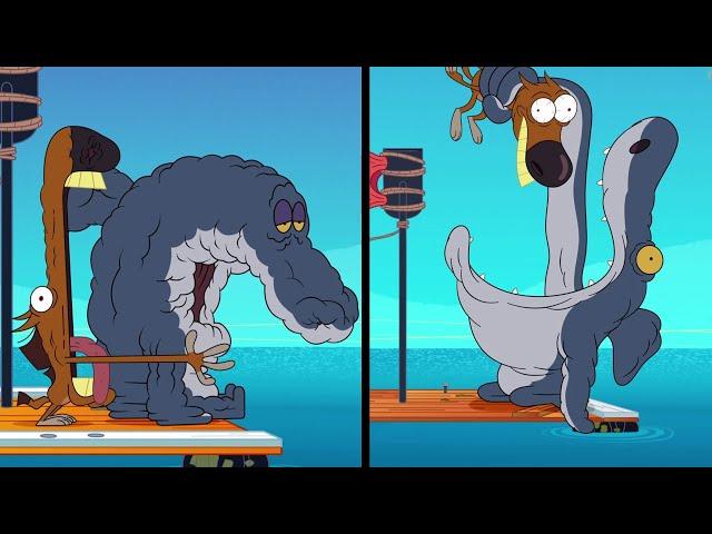 Zig und Sharko |  NEUE STAFFEL 3  Das Boot | Volledige aflevering in HD