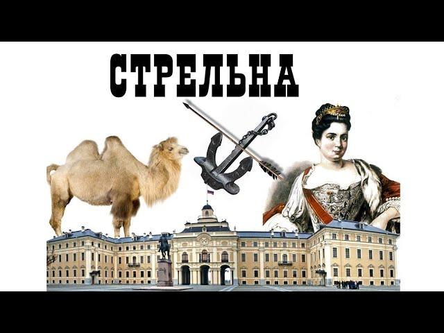 СТРЕЛЬНА. Экскурсия вокруг ДВОРЦА ПУТИНА