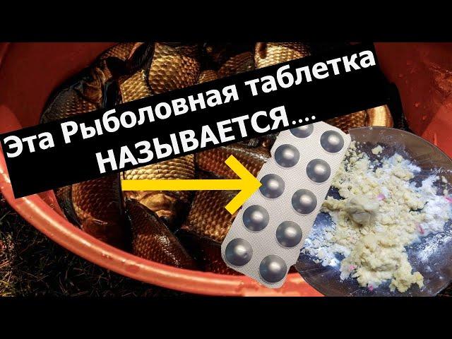 Таблетка для Рыбалки. Название таблетки которую обожает карась. Рыболовная насадка. Активатор клёва.