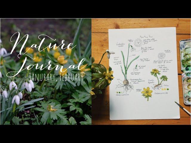 Nature Journal • January / February