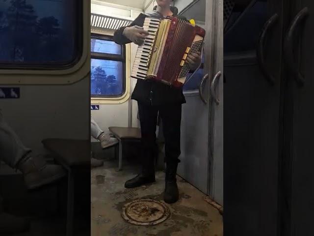 Баянист в электричке